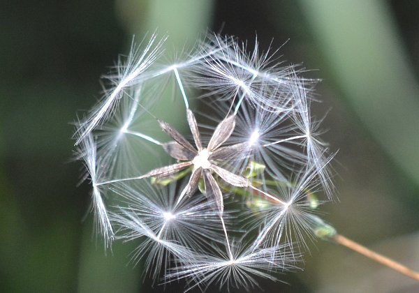 Automne 2018 - Quelques-unes de mes dernières photos